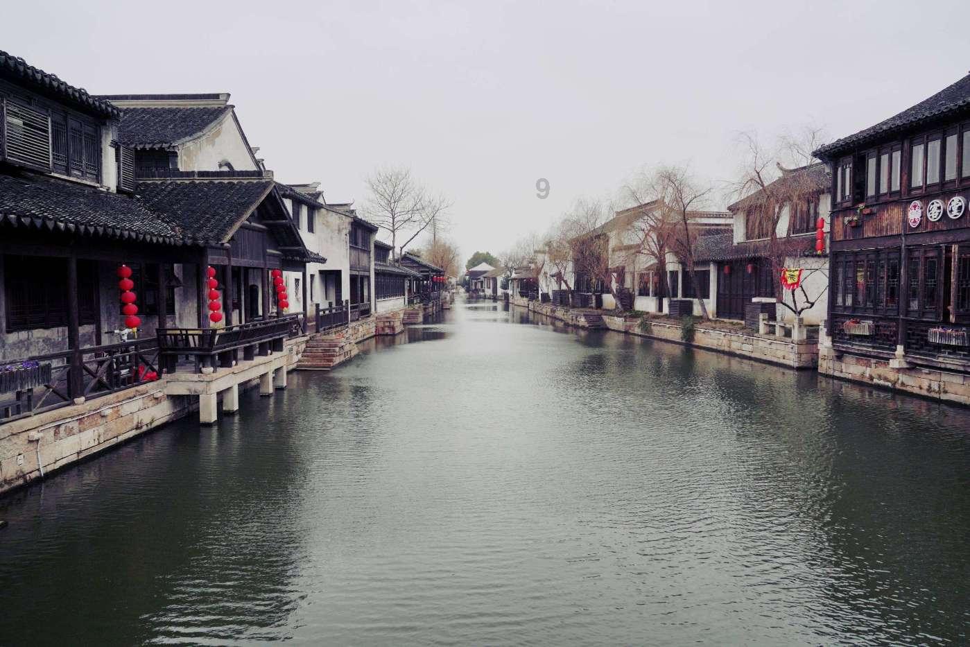 地球上最不高兴的狗——不高兴又怎么了!